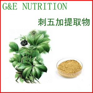 精粉世家6349淘宝刺五加提取物10:1浓缩粉量大优惠满80包邮另售