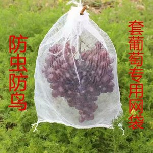 葡萄专用套袋防虫防鸟网袋装红薯土豆编织纱网袋水果袋子塑料网兜