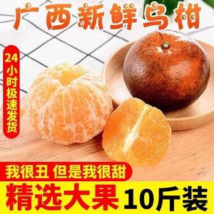 广西非洲乌柑丑柑橘新鲜水果当季黑皮沃柑蜜桔子黑柑武鸣5斤包邮