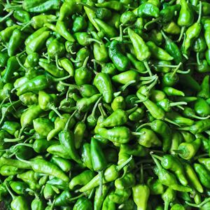 湖北宜昌土辣椒农村迷你小辣椒秋辣椒新鲜蔬菜土广椒小青椒5斤装