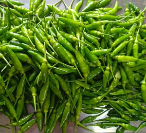 朝天椒新鲜现摘  指天椒 农家绿色有机小米椒 超辣剁椒