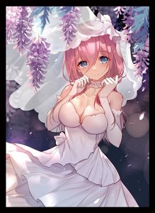 sc20春 会场限定 五等分的花嫁 中野三玖 婚纱 单张 收藏 卡套