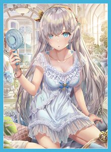 aicm3 会场限定 fgo 皇女 安娜斯塔西娅 睡衣 单张 收藏 卡套