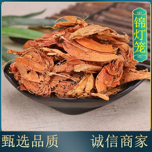 tb391343626淘宝锦灯笼种子四季戈力洋菇娘毛酸浆种籽多年生金角菇