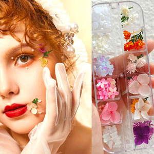 蝴蝶干花贴脸上贴饰品化妆贴花脸部装饰眼妆配饰日系新娘套装亮钻