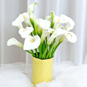 【马蹄莲】鲜切花束家庭插花瓶客厅餐桌茶几摆件云南昆明基地直发