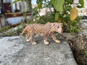 正品思乐 新款美洲豹 14769 野生动物模型玩具