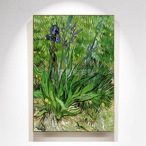 欧式玄关diy方钻满钻钻石画梵高绿草地上的一株鳶尾花贴钻十字绣