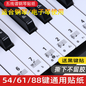 透明88键手卷电钢琴键盘贴纸61 54 49键电子琴贴五线谱简谱音符贴