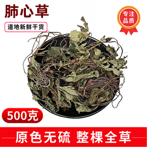 中草药肺心草