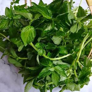 云南德宏野菜傣族调料新鲜蔬菜正宗香嫩水薄荷水香菜泡沫箱