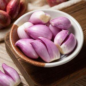 030人付款淘宝云南新鲜红葱头盆栽种子火葱小葱头香葱