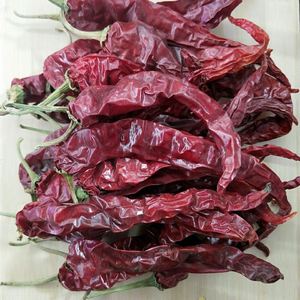 东北地区洮南市农家溥皮特产笨辣椒大辣椒干辣椒