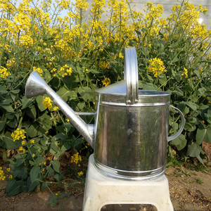 铁皮洒水壶大号浇菜壶长嘴大容量喷壶浇花种菜家用农用两用洒水壶