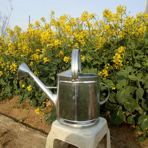 铁皮洒水壶加厚浇水壶浇花浇菜洒水桶长嘴大容量大号菜园浇水桶
