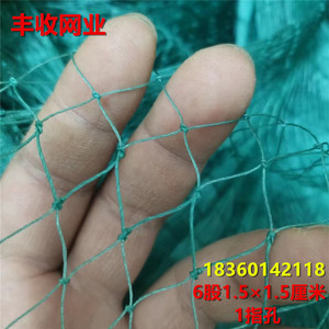6股1.5厘米有结网网片各种捕鱼网鱼网专用材质聚乙烯熟料网抗风化