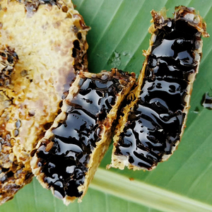 特产野生蜂蜜云南