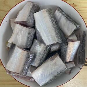 新货针良鱼段 鲜针嘴鱼段 青条杆子鱼 银水针鱼 绿刺鱼 海捕海鱼