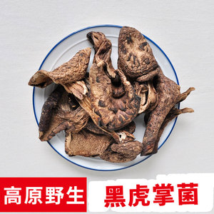 野生黑虎掌菌 獐子菌100克特级干货煲汤秋冬滋补甘孜雅江礼品年货