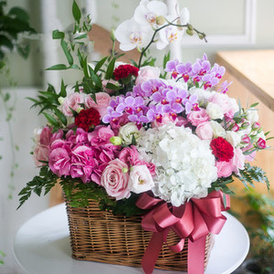 北京鲜花速递生日花篮蝴蝶兰绣球玫瑰康乃馨混搭同城速递