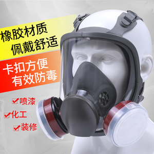 防毒面漆具防护面罩全面梅安覃过滤防酸性气体氨面气喷专用化工防