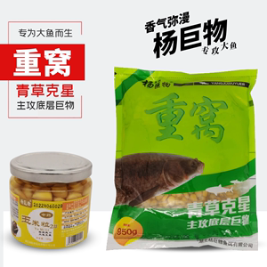 杨巨物重窝杨行伟玉米窝料大物钓饵青鱼草鱼嫩玉米粒饵料打窝颗粒