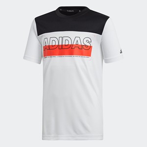 Adidas/阿迪达斯 春夏新款男大童休闲运动短袖T恤DV1415