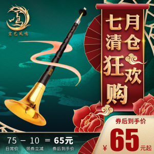 宏艺凤鸣唢呐乐器全套乌木黑檀木专业演奏考级d调初学者入门喇叭