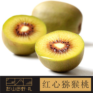 彭山田野礼 红心猕猴桃 12个装70-90g 奇异果 现摘现发