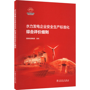 水力发电企业安全生产标准化综合评价细则 国家能源集团 计量标准 专业科技 中国电力出版社 1551984249 图书