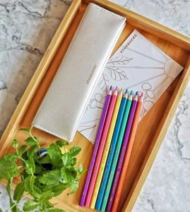 星巴克铅笔2021会员 辉柏嘉联名款笔袋 彩色时尚文具学生绘画铅笔