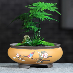 紫砂花盆圆形盆景盆文竹罗汉松绿植大口径多肉拼盘桌面中国风花盆