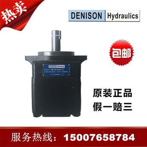 进丹尼逊叶片泵T6D 038 2R01 B1/T7DS派克高压压铸机液压油泵电动