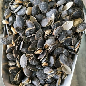 黑南瓜籽黑金刚椒盐黑南瓜籽原味散装炒货500g云南开口黑瓜子