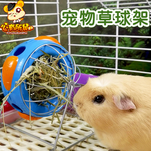 美国超宠Superpet草架球荷兰猪兔子龙猫豚鼠提摩西草用品