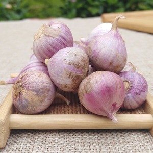 云南珍珠蒜头