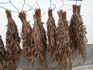 香姜叶 山姜 土香姜 广西小叶山姜 包粽姜 茶姜 兴茶血肠调料干货