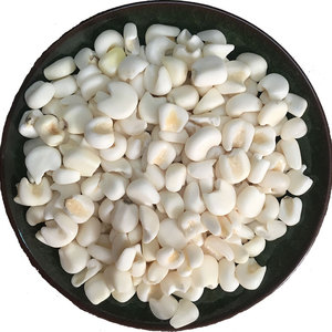 雪芽玉米大颗粒大碴子苞米粘脱皮玉米粒广西糯玉米粒做菜玉米糖水