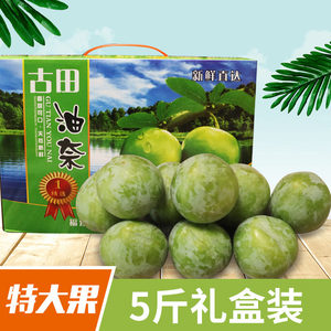 古田油奈青布林奈李空心脱骨李子脆李当季孕妇新鲜水果5斤礼盒装