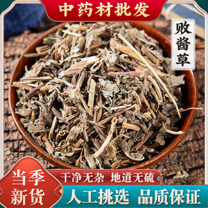 败酱草中药材500克 黄花败酱草野生中草药 红藤药用南败酱草中药