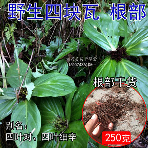 野生新鲜四叶对四块瓦四叶细辛四叶莲根须干中药材中草药250g