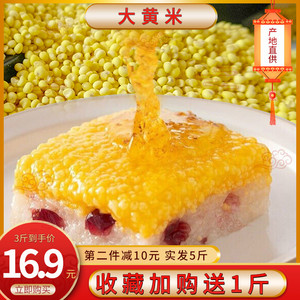正宗山西大黄米新米黏黄米粘糯小米农家小黄米包粽子非东北杂粮黍