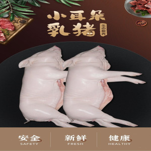 冰冻小乳猪