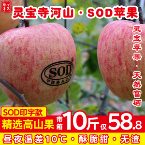 灵宝苹果寺河山sod苹果脆甜新鲜孕妇河南红富士【有SOD晒印】