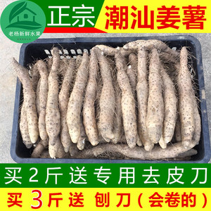 潮汕姜茨 正宗大溪特产现挖新鲜姜薯 粉糯作甜汤小吃山药一斤包邮