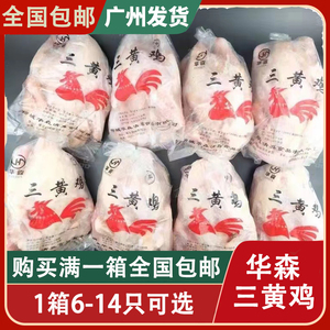 广东包邮19斤10只新鲜冷冻鸡三黄鸡干水养鸡白条鸡西装鸡肉童子鸡