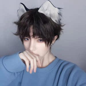 猫耳朵头饰男小奶狗兽耳发夹超可爱日系cos发卡狐狸对夹猫咪发饰