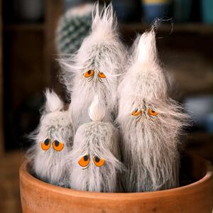 长毛老乐柱 白色仙人球防辐射办公室小盆栽桌面花卉软毛开花植物