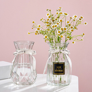【两个装】花瓶北欧欧式摆件客厅透明玻璃简约水养插花干花器鲜花