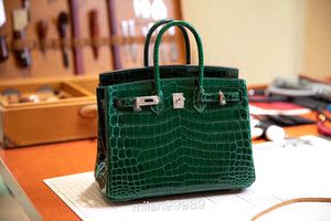 爱马仕鳄鱼皮铂金包
